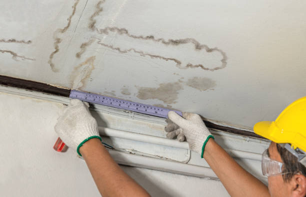 Reliable Burst Pipe Cleanup contractor in Belden, MS by Water Damage Irwin